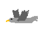 image8|500
